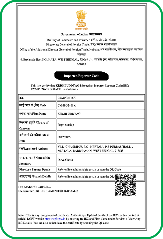 IEC Certificate