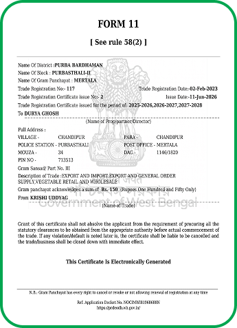 Form 11